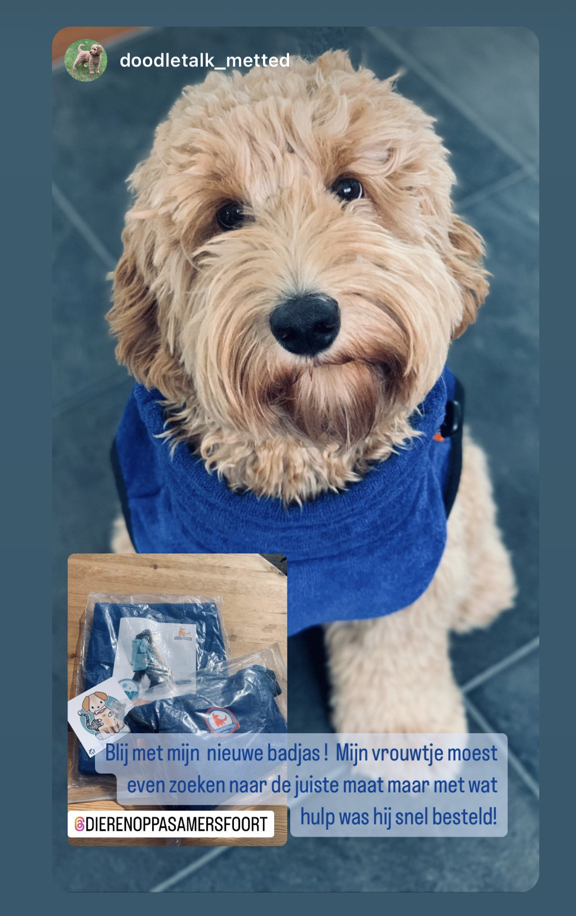 Hondenbadjas ervaring instagram honden badjas