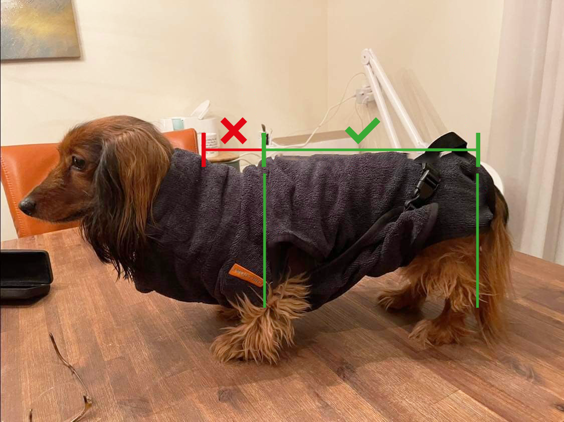 Hondenbadjas is te groot verkeerd gemeten teckel
