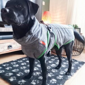 Hondenbadjassen hoodie mandel droogmantel badjas voor hond grote labrador hydrotherapie kleur grijs honden puppy badjas