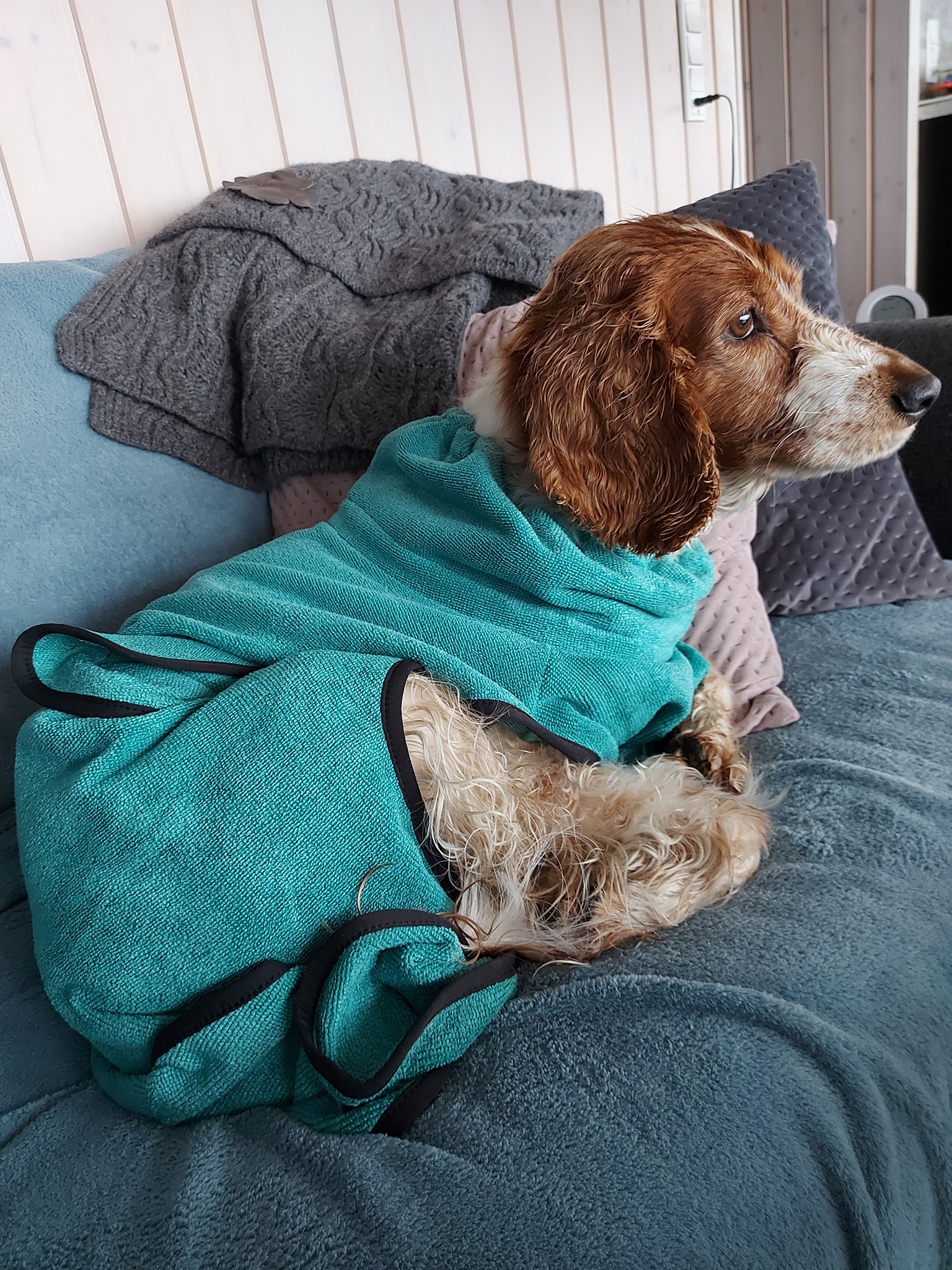 Jachthond hondenbadjas honden badjas hond na jachttraining warm worden