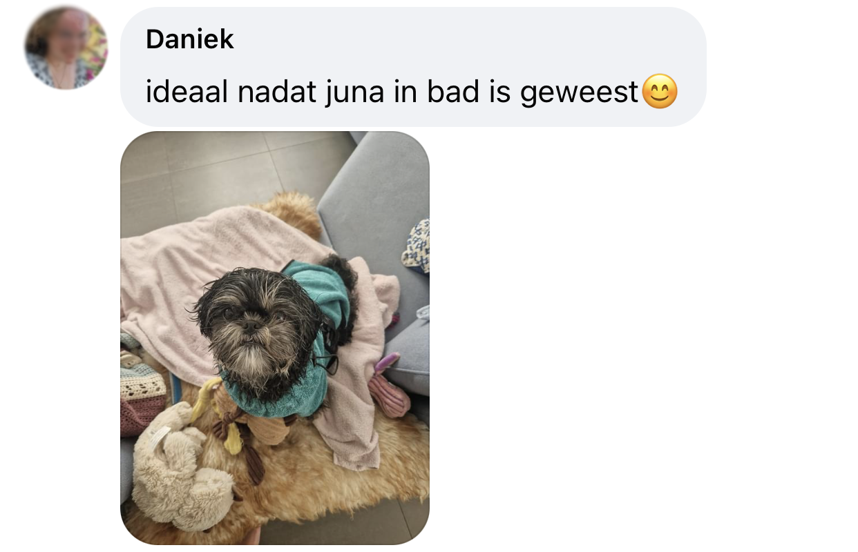 Klein hondje boomertje shih tzu badjasje hond