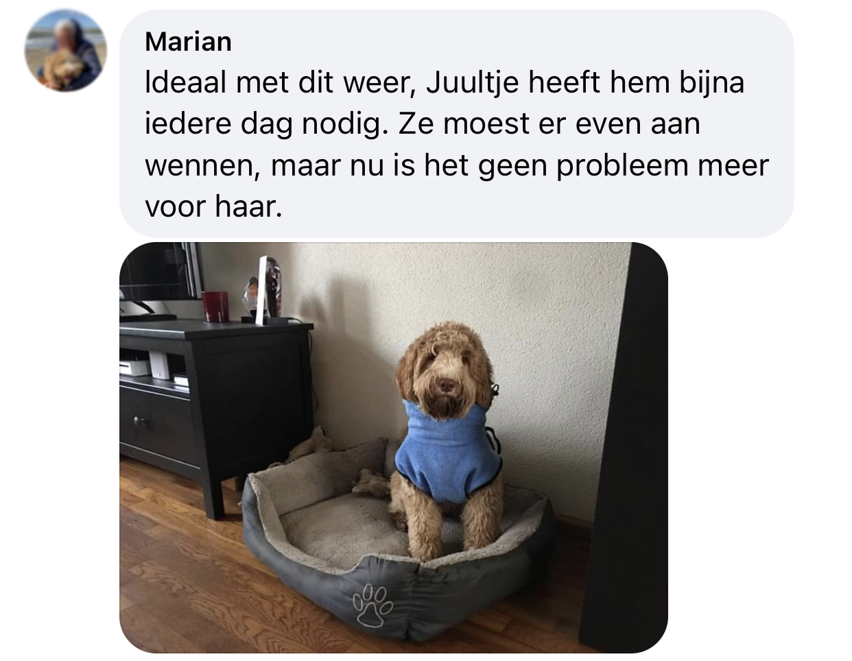 Labradoodle elke dag hondenbadjas aan