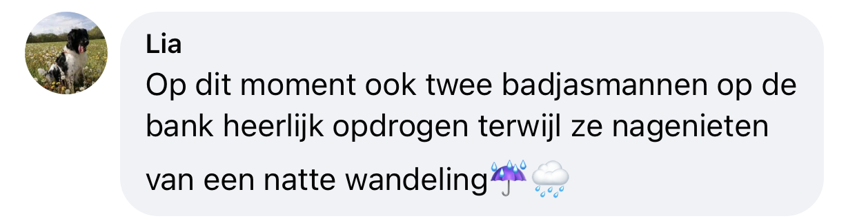 Na het wandelen de hondenbadjas aan