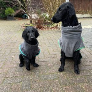 Puppy flatcoat draagt een hondenbadjas