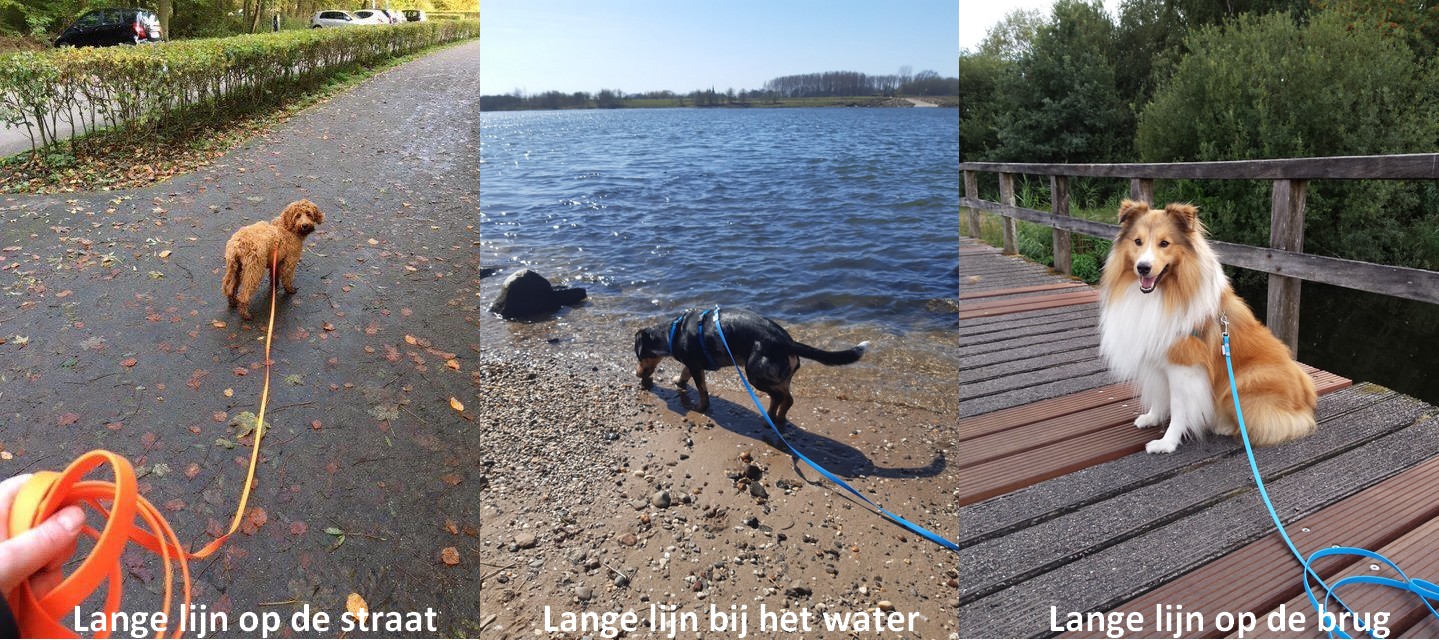 Lange lijn hond biothane 3 5 10 meter speurlijn puppy trainingslijn