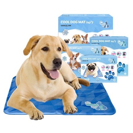 Beste goedkoopste koelmat hond coolmat voor honden aanbieding hittegolf oververhitting action lidl