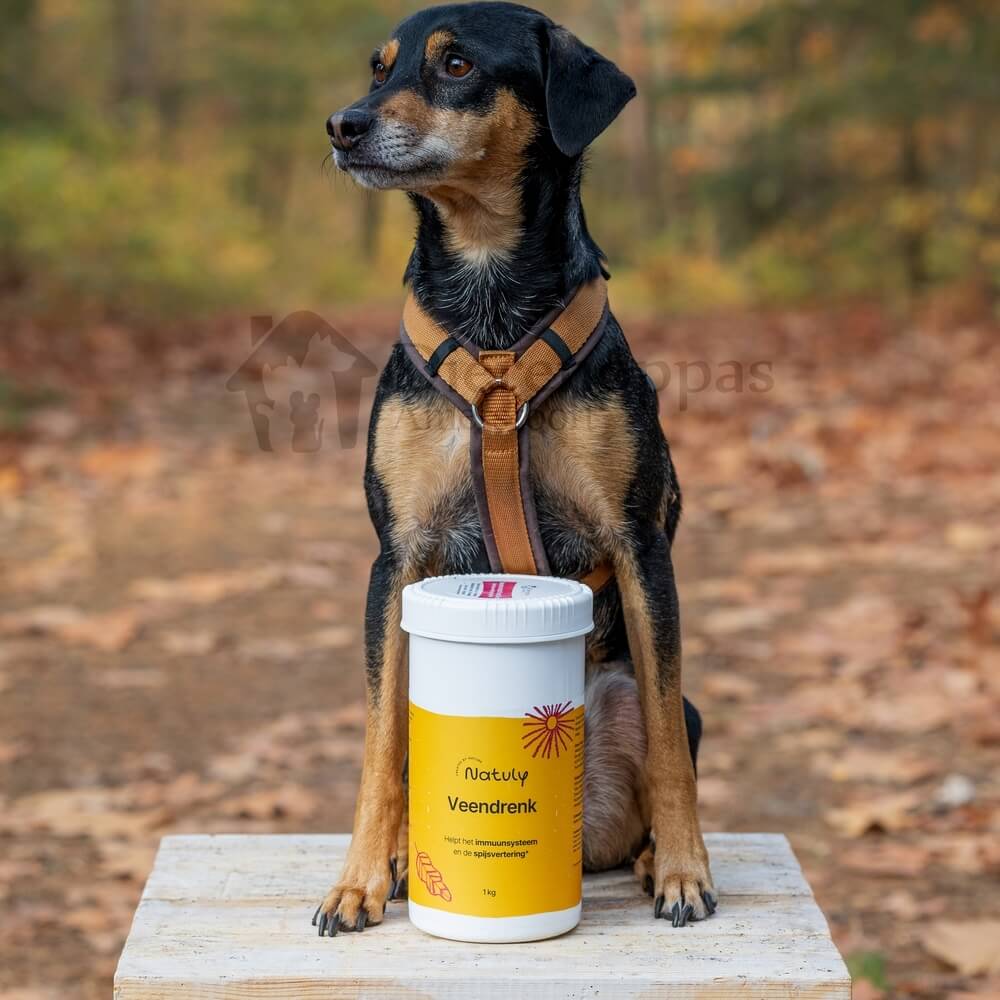 veendrenkstof hond ervaringen