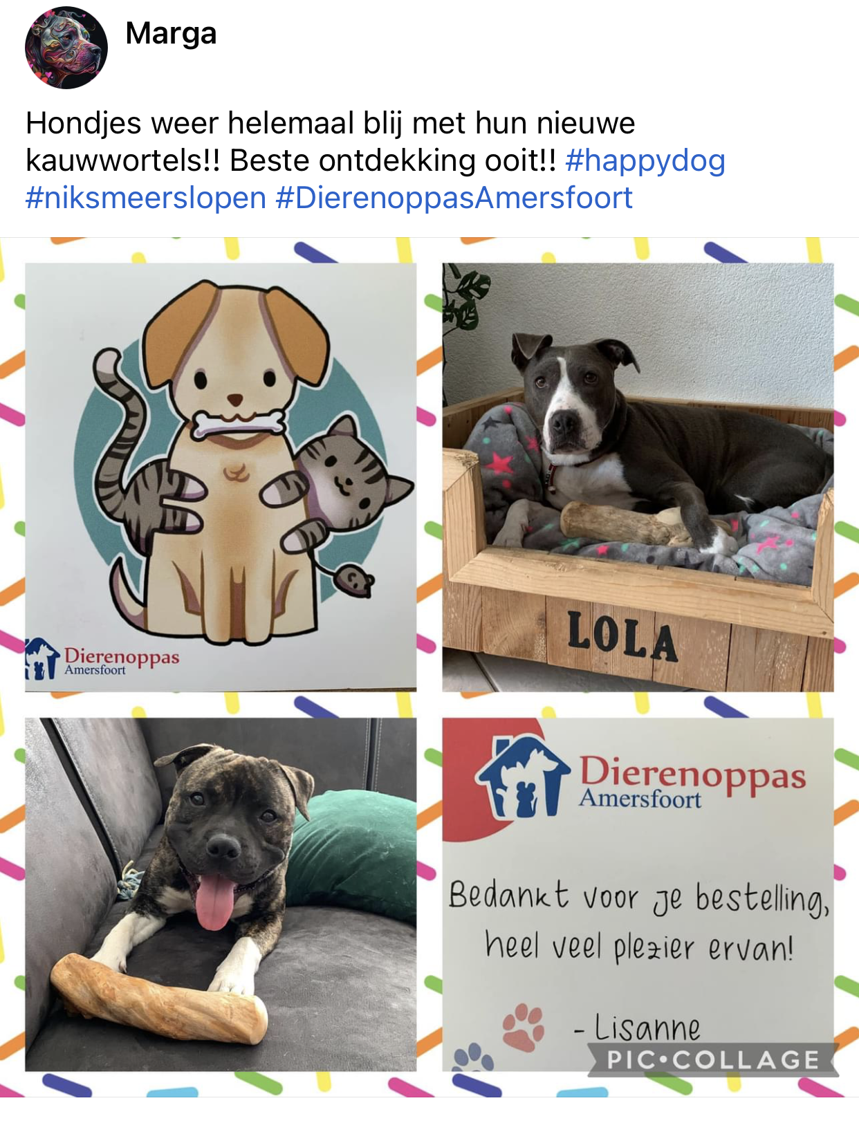 Ervaringen koffiehout hond gevaarlijk