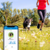 Tractive GPS tracker systeem voor honden halsband volgsysteem abonnement met app