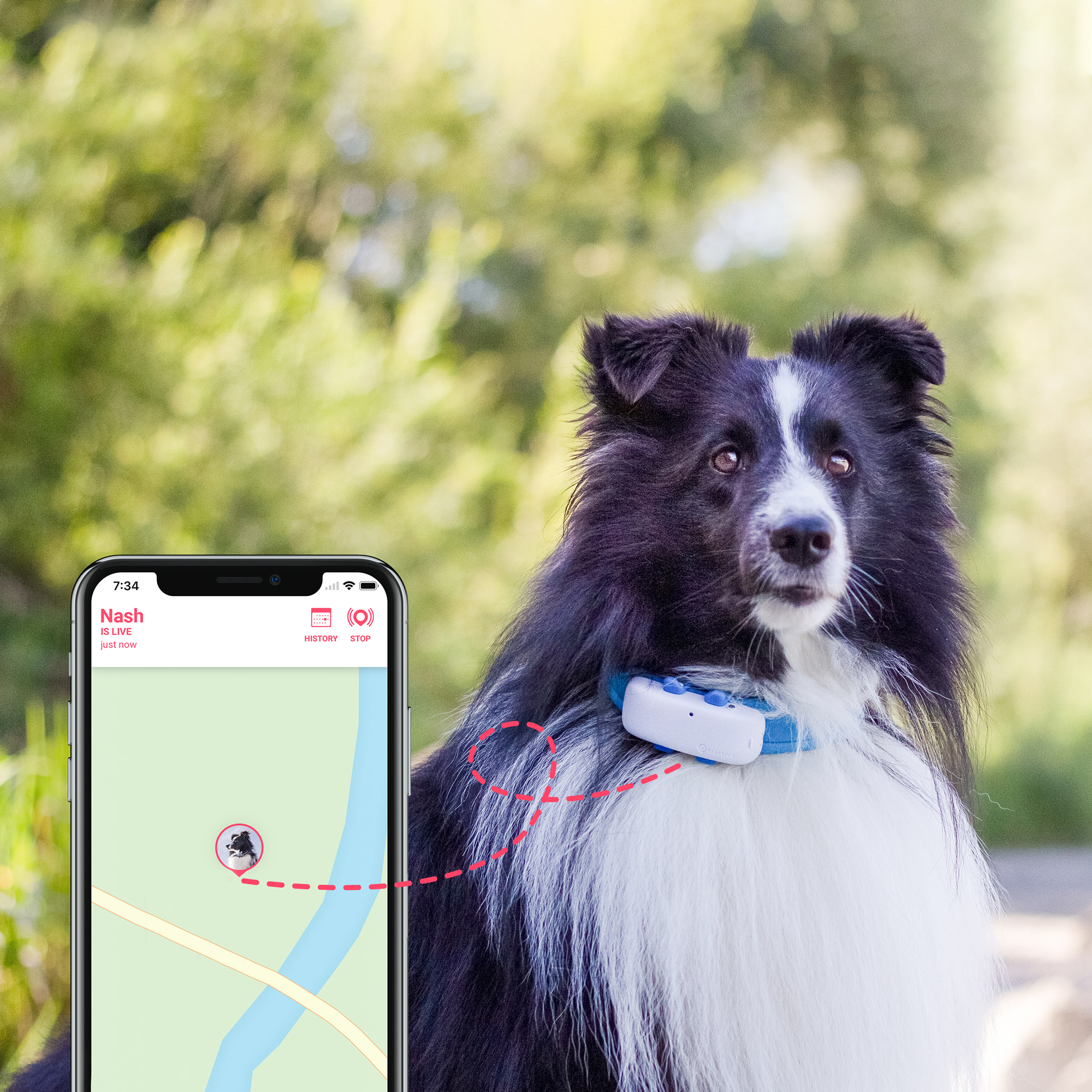 Tractive GPS Tracker systeem voor honden
