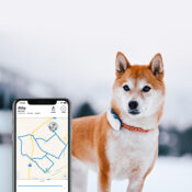 Tractive GPS tracker systeem voor honden halsband volgsysteem abonnement
