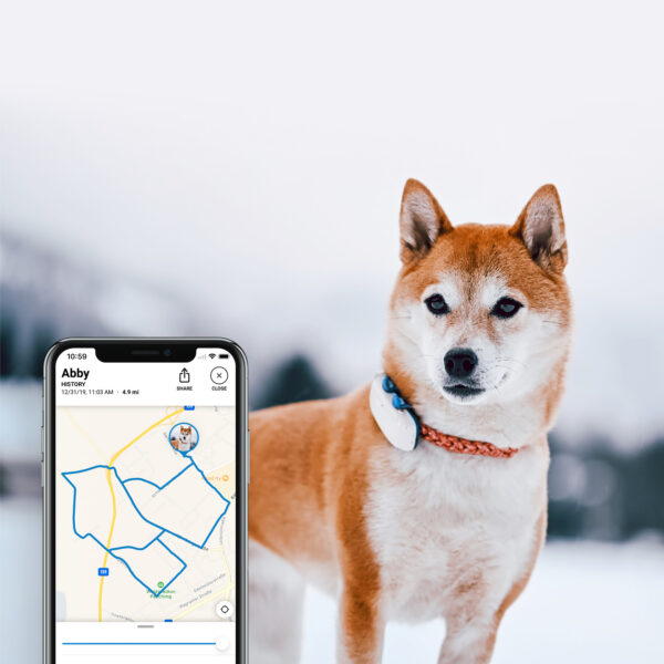 Tractive GPS Tracker hond kopen? Aanbieding, Reviews & Ervaringen!