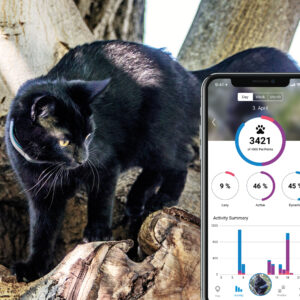 Tractive GPS tracker systeem voor katten