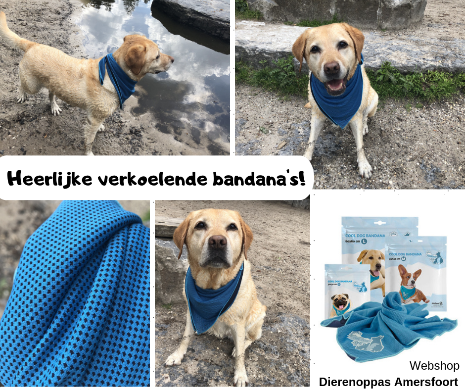 Heerlijke verkoelende bandana's