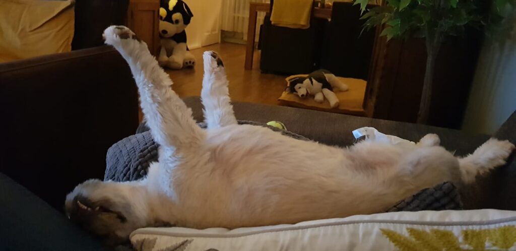 Relaxed slapen met de vuurwerkmix (anti-angst en stressmix)