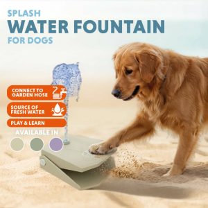 Waterfontein hond action bestellen