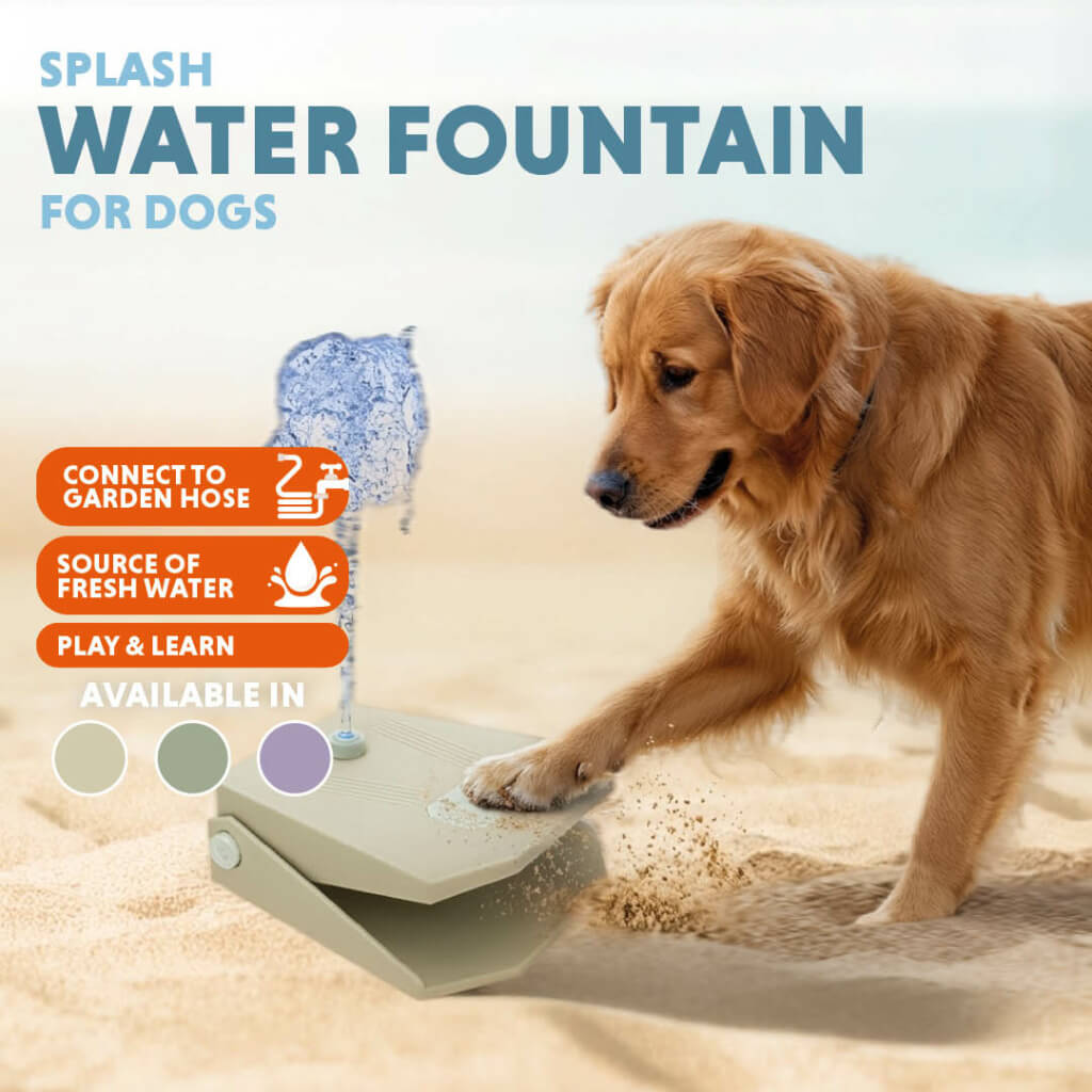 Waterfontein hond action bestellen