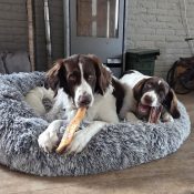 Runderkophuid hond