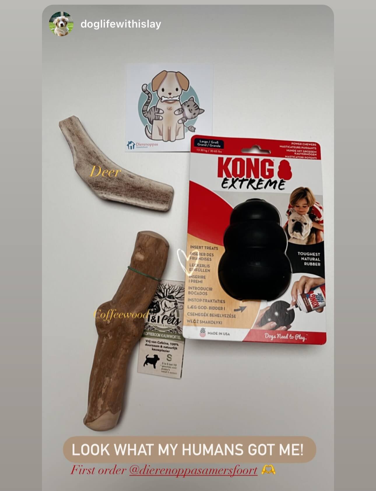 zwarte kong ervaringen