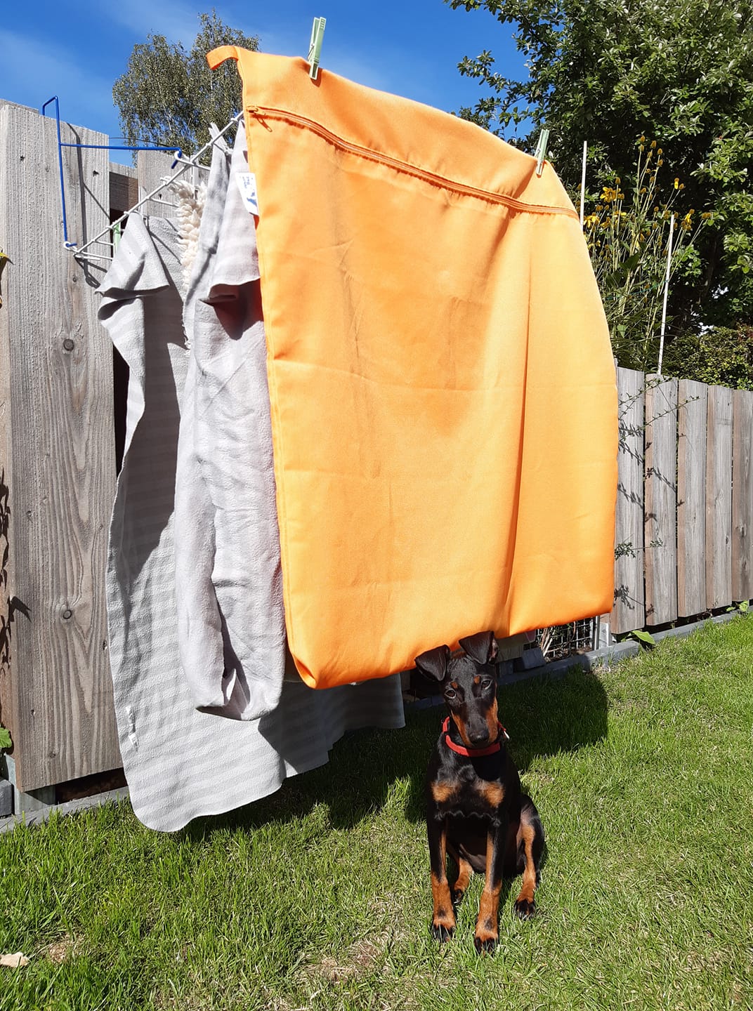 Groot formaat washbag waszak tegen hondenhaar kattenhaar paardenhaar in de schone was wasmachine