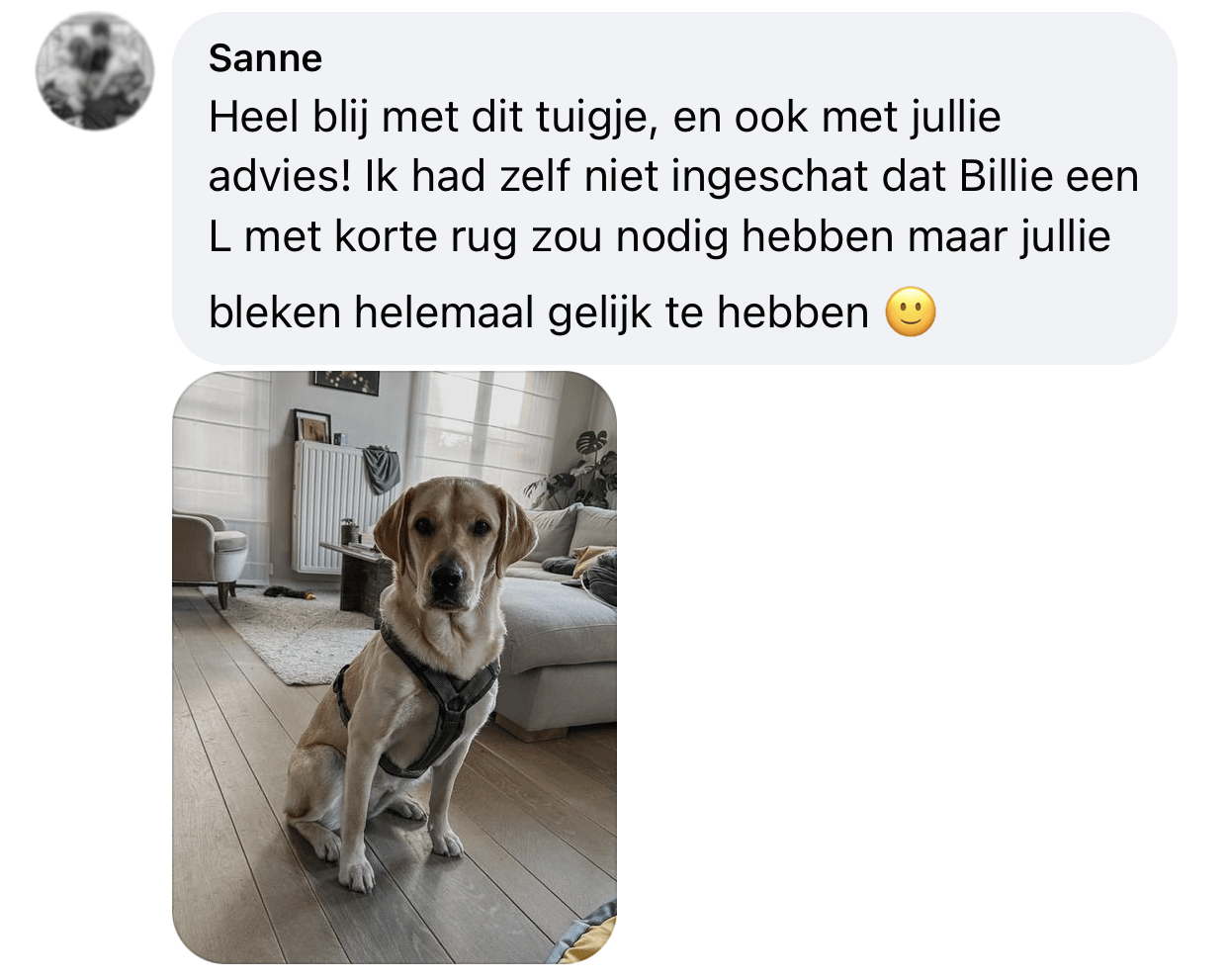 Anny X tuigje met korte rug ervaringen