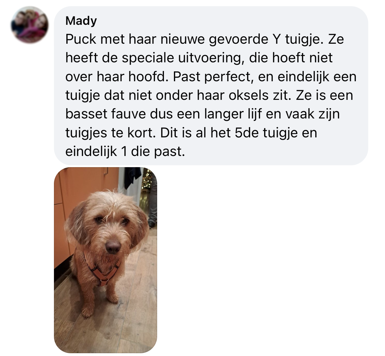 AnnyX tuig 4 sluitingen neksluiting tuig hoeft niet over hoofd hond Anny X tuigje