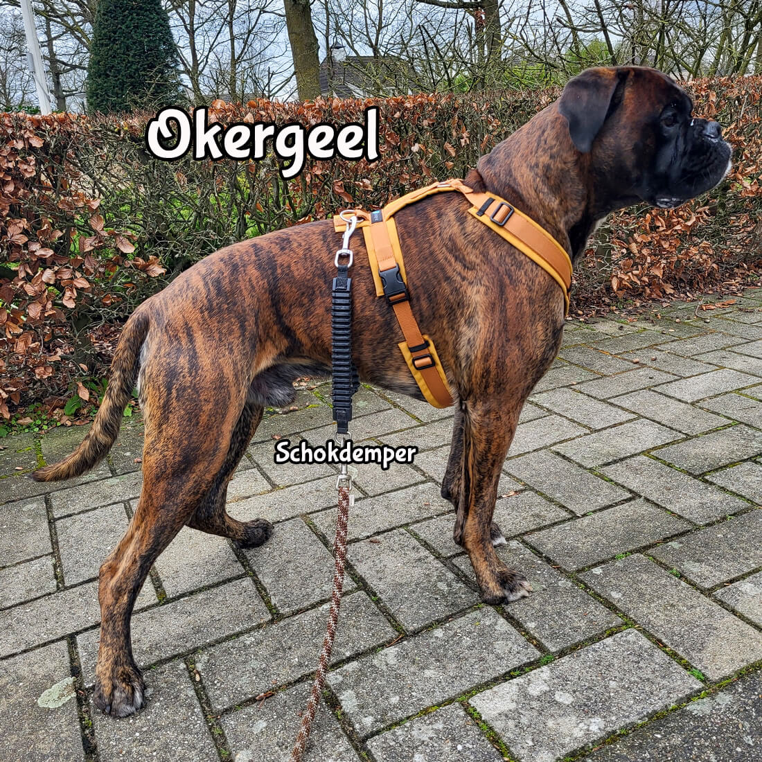 AnnyX tuig okergeel boxer hondentuig