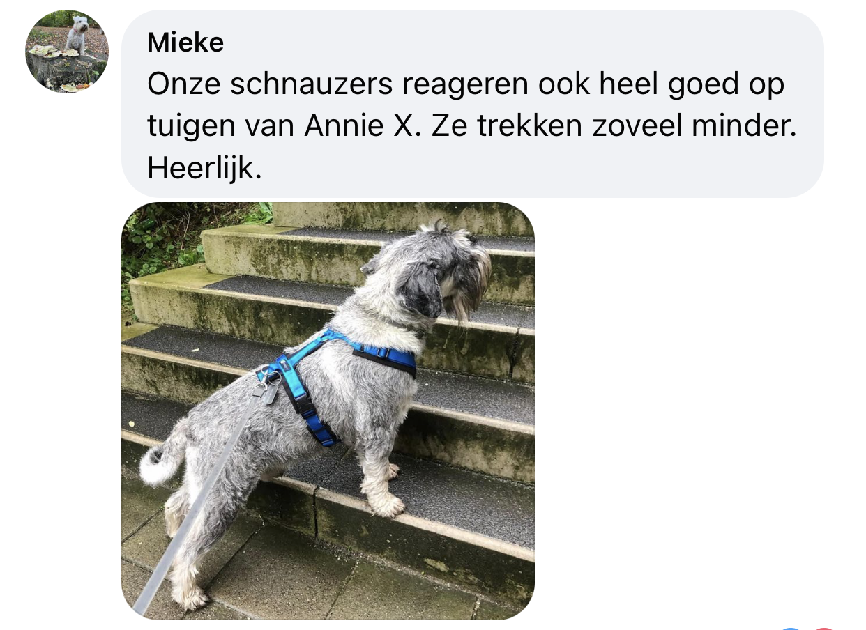 Annyx tuig ervaring schnauzer hond