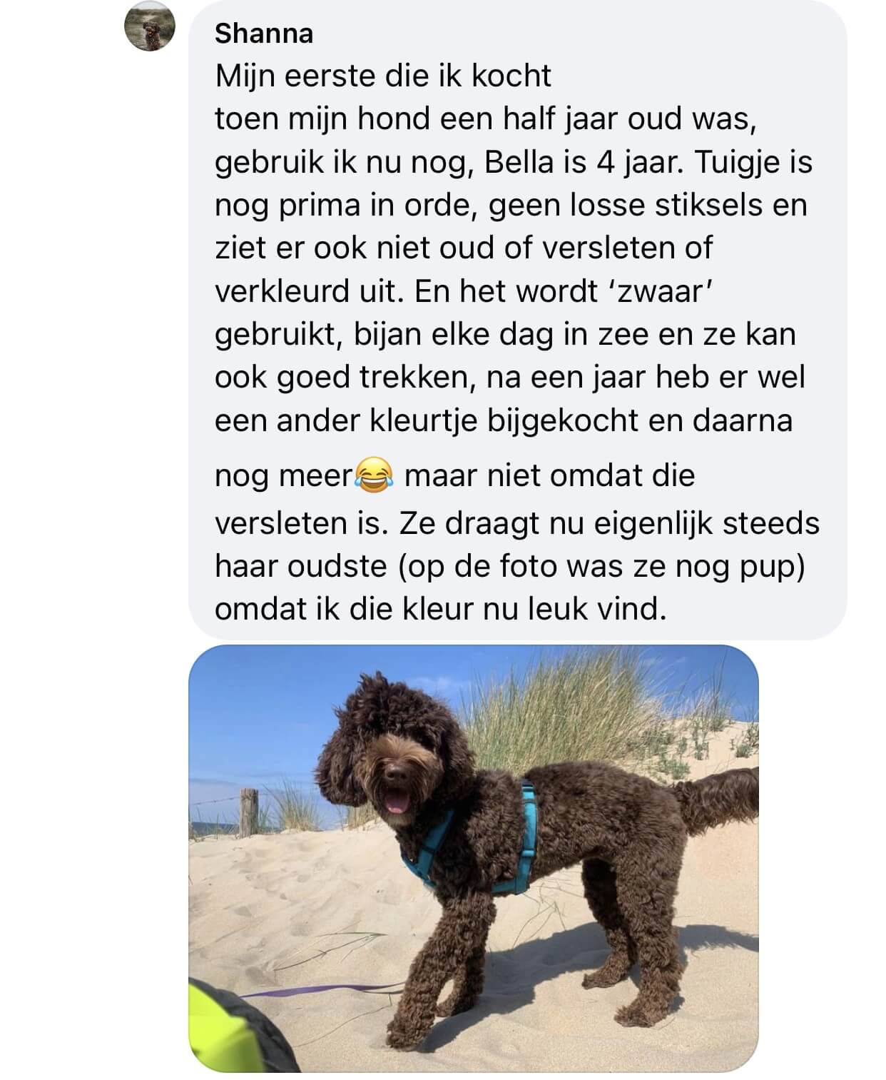 Ervaring anny x tuig hond