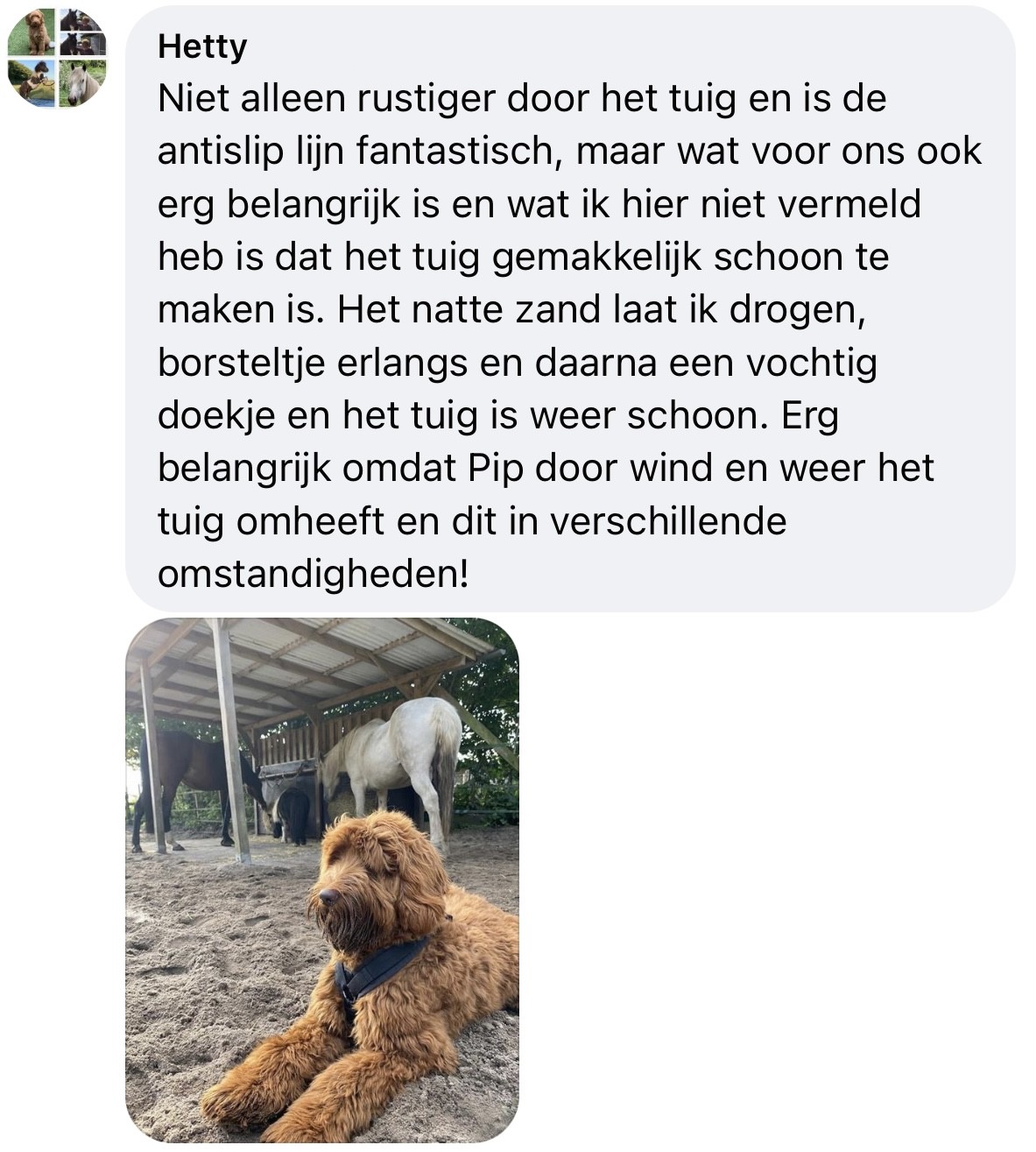 Ervaring review AnnyX tuigje Anny X tuig hond