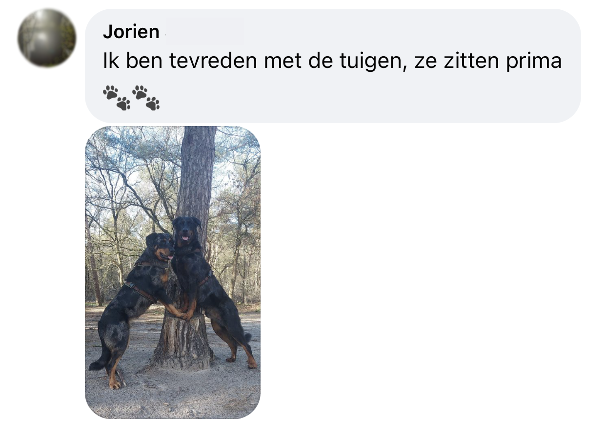 Ervaringen annyx tuig anny x hondentuig tuigje beauceron