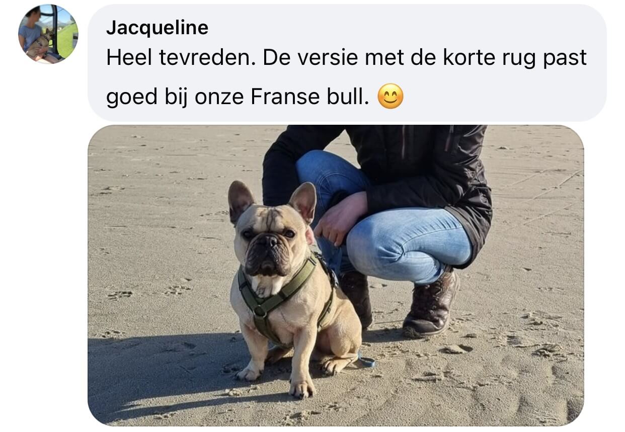 Franse bulldog tuigje