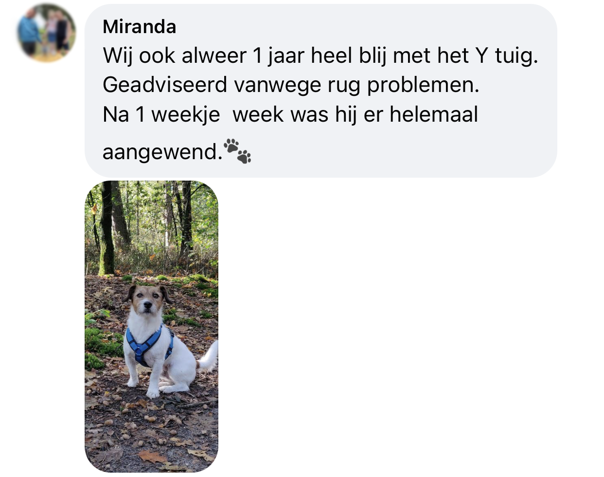 Tuigje hond bij rugproblemen annyx