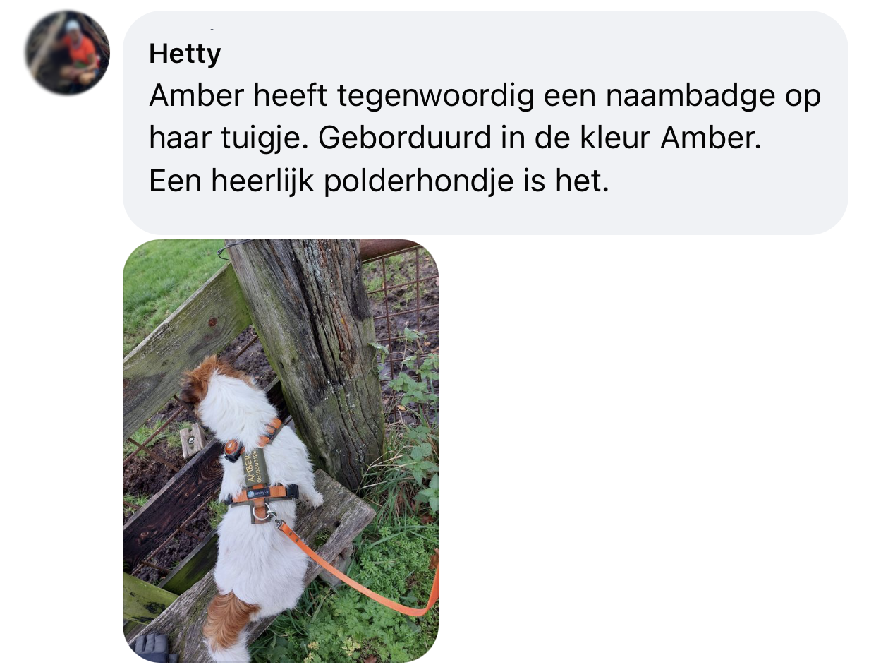 Tuigje jack russel met naam naambatch naamlabel naamtag