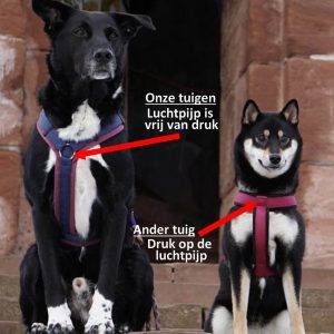 Verschil Y-tuig en H-tuig hond harnas hondentuig tuigje