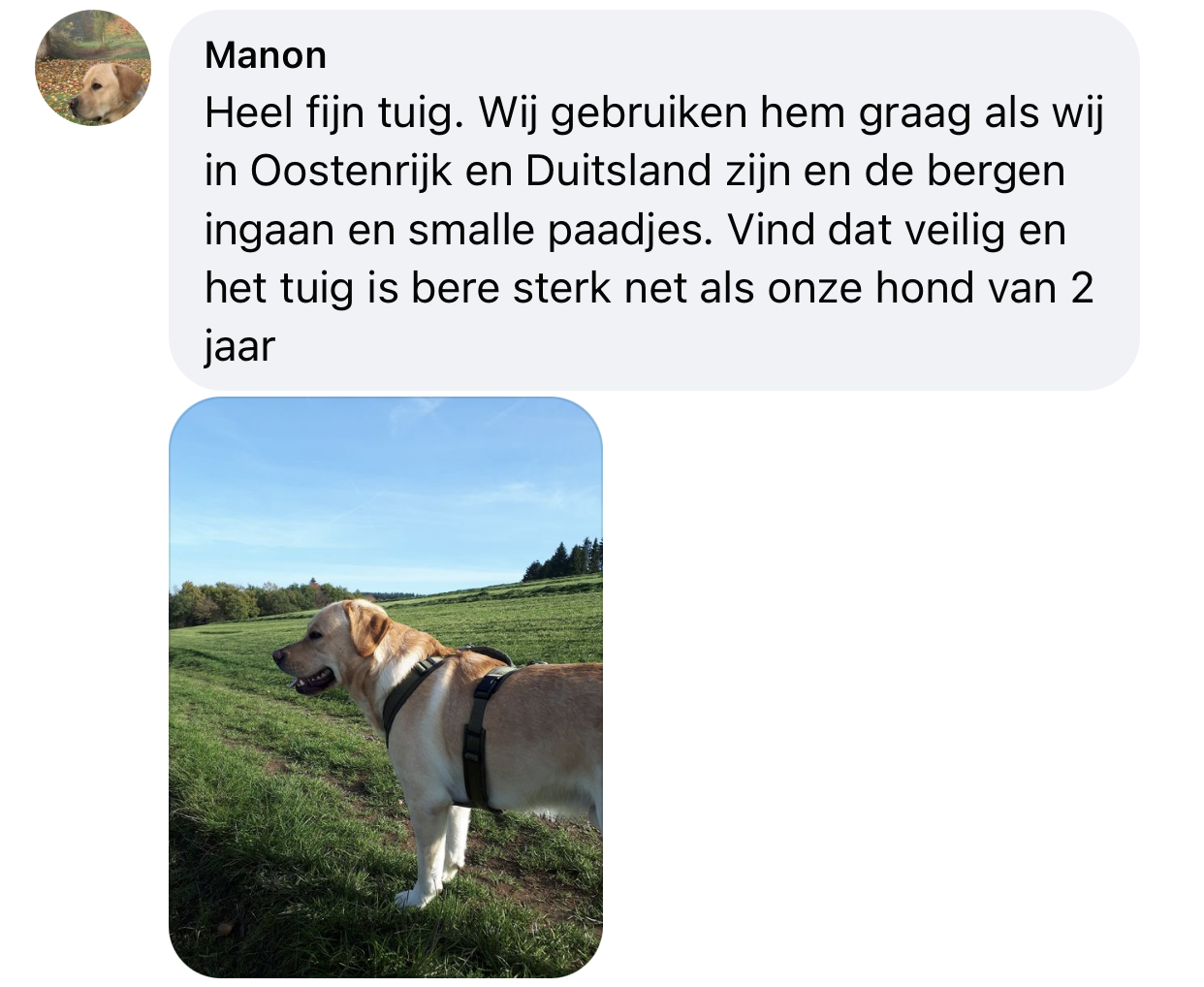 Y-tuig sterke hond labrador