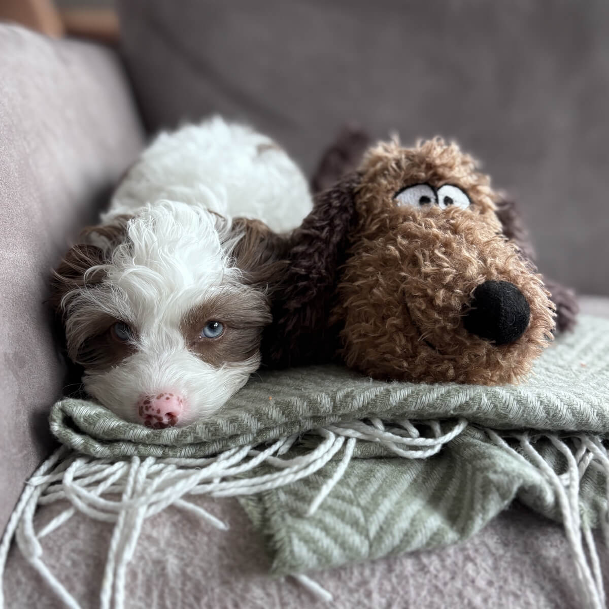 Beste knuffel hartslag puppy