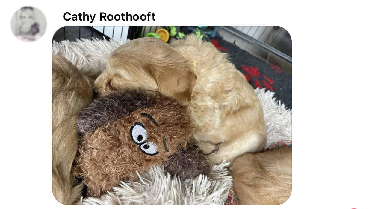 Ervaring hartslag knuffel puppy hartslaghond