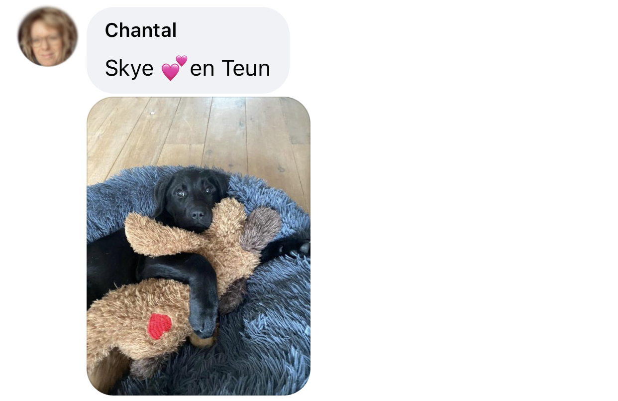 Ervaring knuffel hartje voor puppy