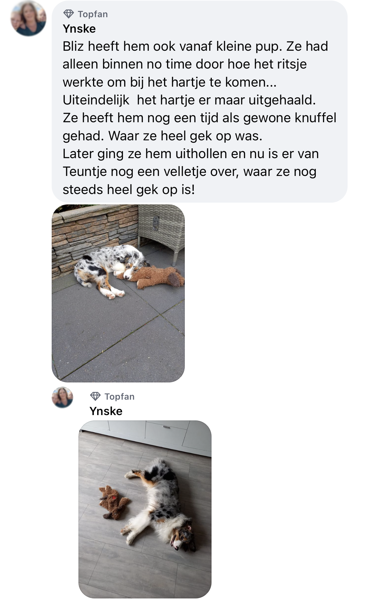 Ervaring teun de hartslagknuffel hond