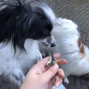 Gedroogde haring vlinderhondje snacks snoepjes sprotjes vis snack natuurlijk