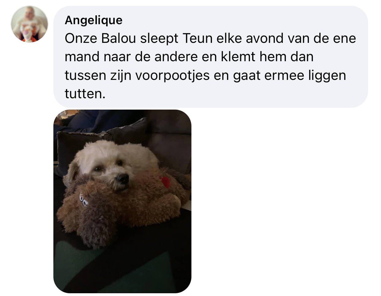 Hond teun met hartslag