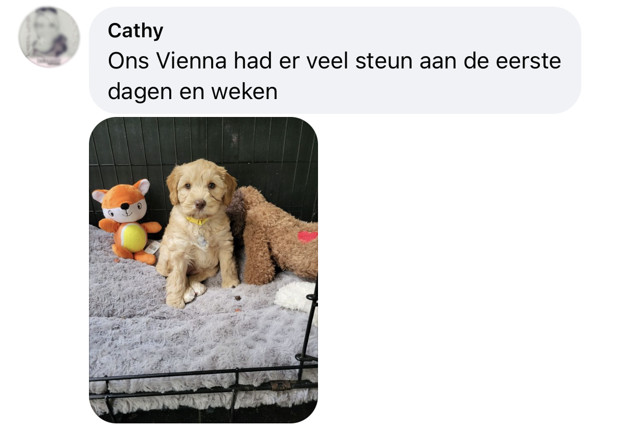 Kalmerende knuffel hartslag heartbeat knuffel hond