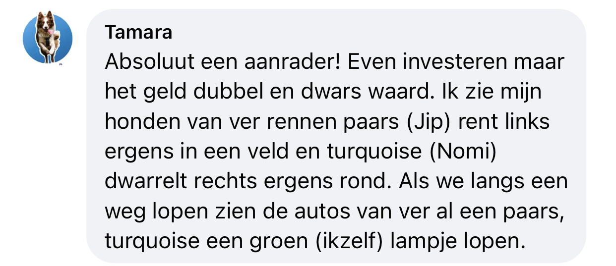 Lampje hond ervaring geld dubbel en dwars waard lampje hond tuig halsband