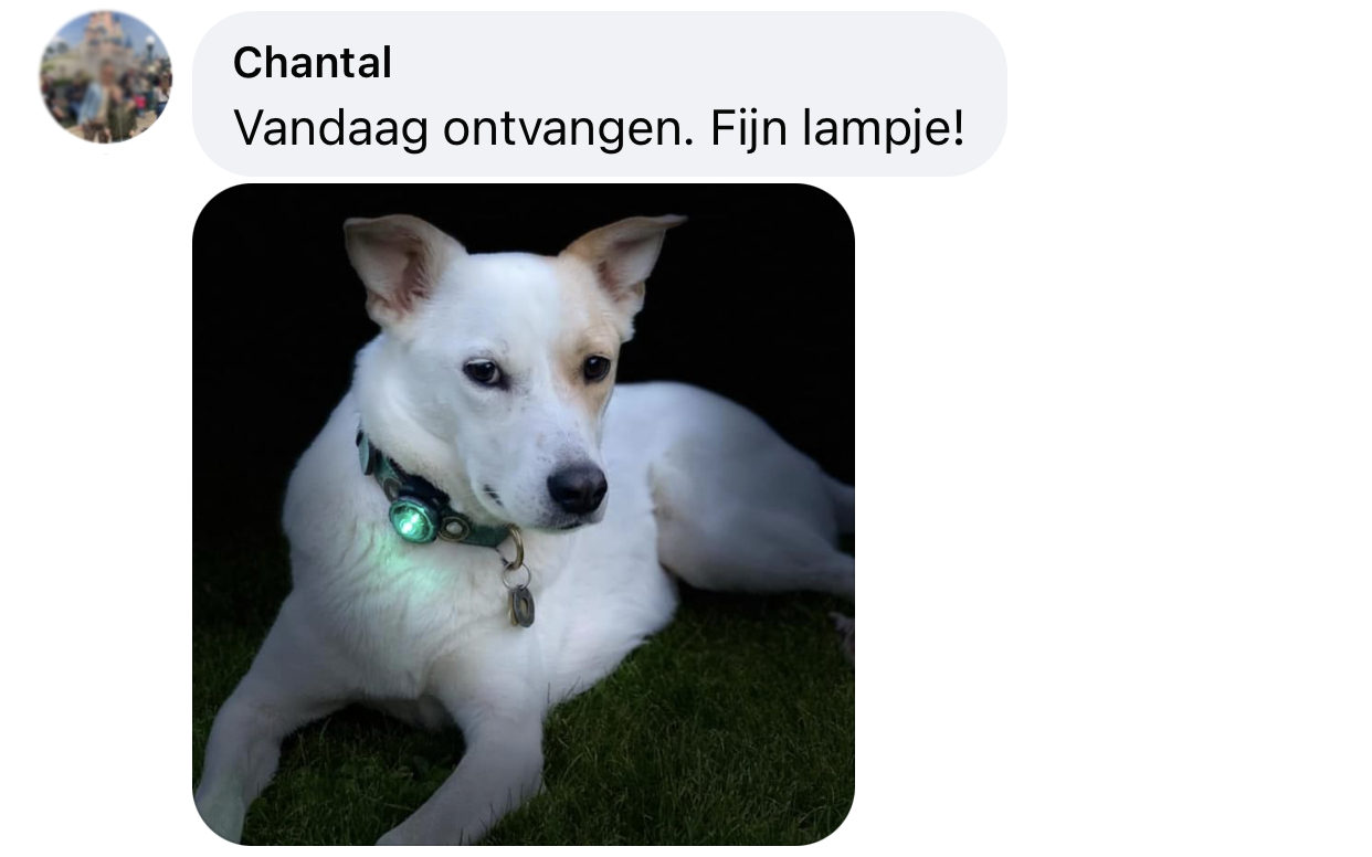 Lampje hond ervaring hondenlampje veiligheidslampje orbiloc aan halsband