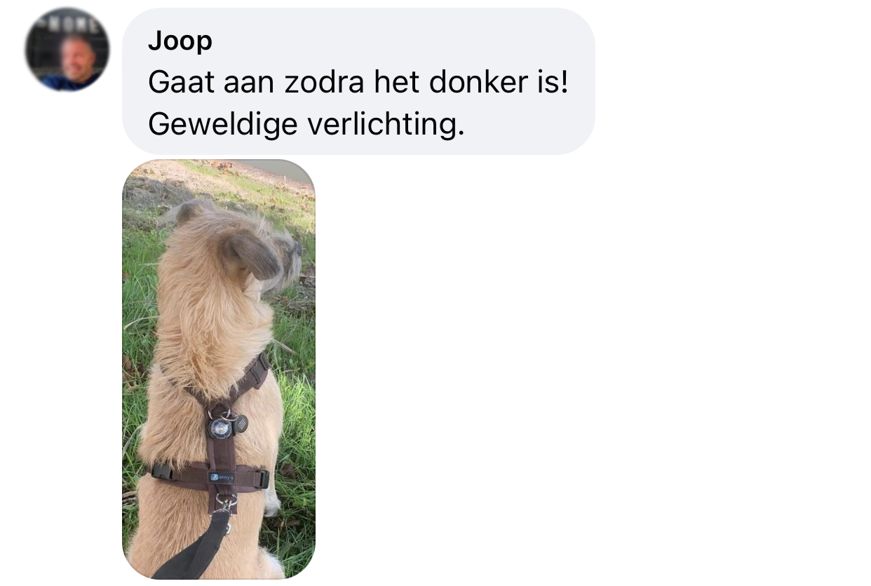 Lampje hond ervaring orbiloc veiligheidslampje hondenlampje aan annyx tuig