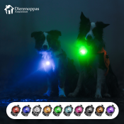 Verlichting hond (honden verlichting) hondenlampje orbiloc