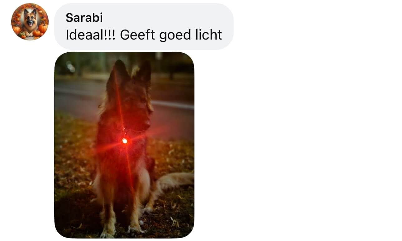 Verlichting hond