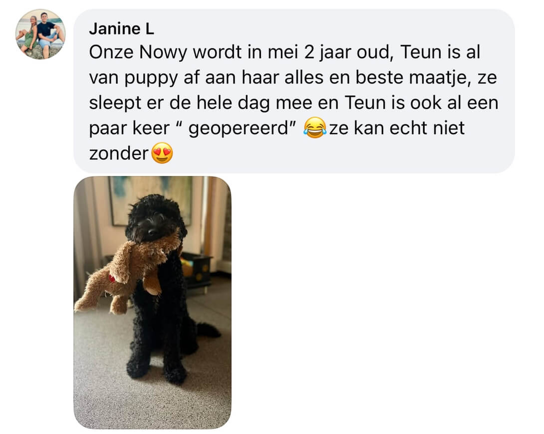 teun de hond met hartslag