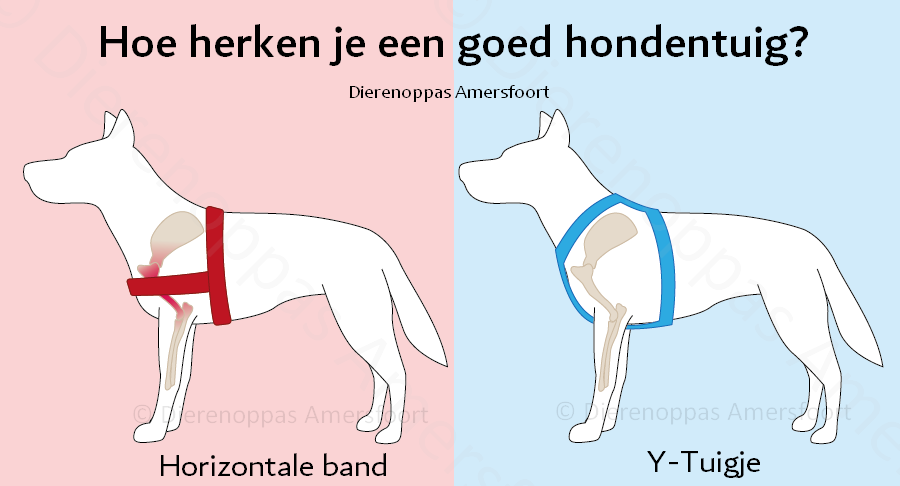 Goed tuig slecht tuigje hond - Wat is het beste hondentuig anti-trektuig grote sterke hond vergelijken van y-tuig harnas hondentuig borsttuig